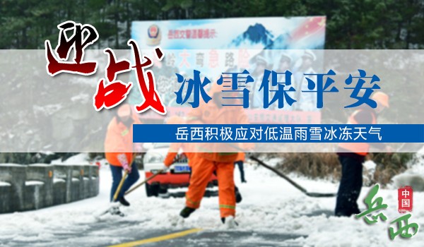 ����ȫ�����õ�����ѩ��������Ӧ�Է������� 