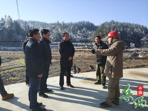 ���������ŷ������ֺ�����ָ�����