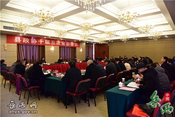 ����Э�ٿ�ʮ����γ�ί���� 