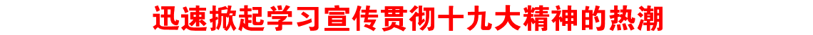 迅速掀起学习宣传贯彻十九大精神的热潮
